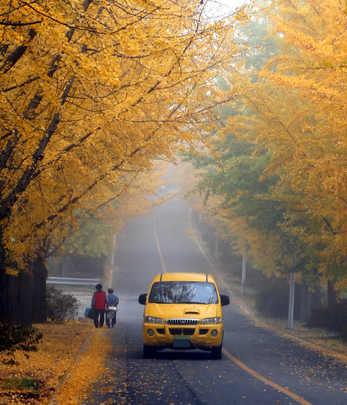 26일 안개가 낀 충남 공주시 금흥동의 한 도로에 유치원 차량이 지나가고 있다. 연합뉴스