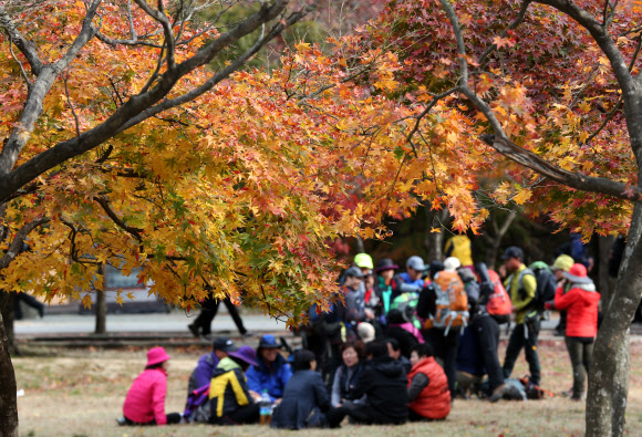 탐방객들이 4일 절정을 이룬 전북 정읍의 내장산국립공원 오색단풍을 만끽하고 있다.  연합뉴스