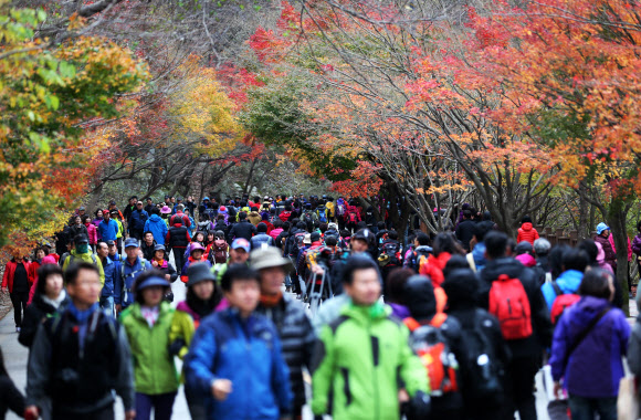 4일 전북 정읍의 내장산국립공원 단풍이 절정을 이뤄 탐방객의 발길이 이어지고 있다.  연합뉴스