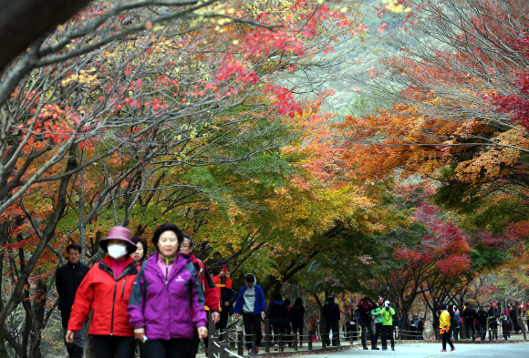 4일 전북 정읍의 내장산국립공원 단풍이 절정을 이뤄 탐방객의 발길이 이어지고 있다.  연합뉴스