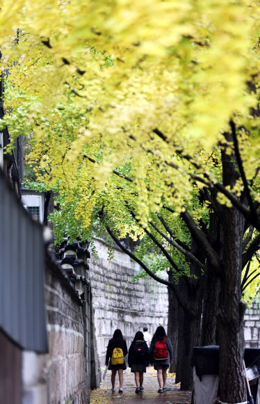 가을비가 내린 5일 오전 시민들이 서울 중구 정동길을 걷고 있다. 기상청에 따르면 이날 중부지방에 내리는 비의 양은 많지 않겠으나, 한기를 동반한 상층기압골이 느리게 통과하면서 내렸다 그치기를 반복한다.  연합뉴스