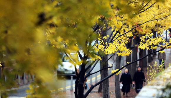 가을비가 내린 5일 오전 시민들이 서울 중구 정동길을 걷고 있다. 기상청에 따르면 이날 중부지방에 내리는 비의 양은 많지 않겠으나, 한기를 동반한 상층기압골이 느리게 통과하면서 내렸다 그치기를 반복한다.  연합뉴스
