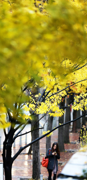 가을비가 내린 5일 오전 시민들이 서울 중구 정동길을 걷고 있다. 기상청에 따르면 이날 중부지방에 내리는 비의 양은 많지 않겠으나, 한기를 동반한 상층기압골이 느리게 통과하면서 내렸다 그치기를 반복한다.  연합뉴스