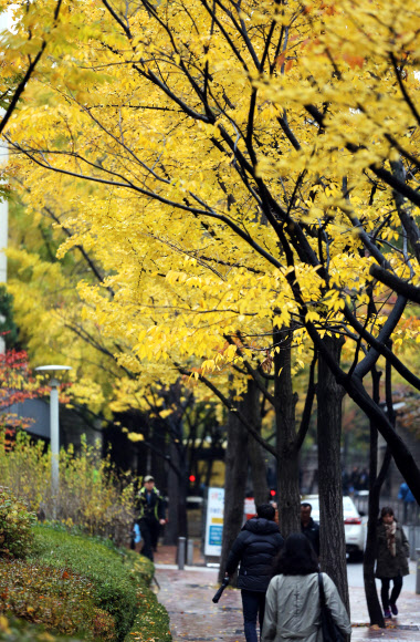 가을비가 내린 5일 오전 시민들이 서울 중구 정동길을 걷고 있다. 기상청에 따르면 이날 중부지방에 내리는 비의 양은 많지 않겠으나, 한기를 동반한 상층기압골이 느리게 통과하면서 내렸다 그치기를 반복한다.  연합뉴스