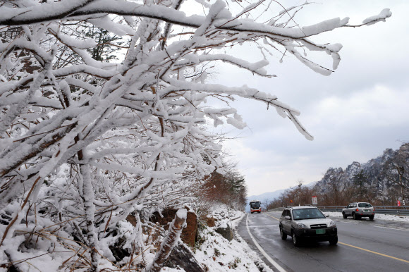 설악산과 대관령을 비롯한 영동산간 고지대에 눈이 내린 12일 눈꽃이 만발한 한계령 고갯길을 차량들이 조심운전을 하고 있다.  연합뉴스