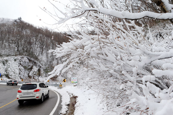 설악산과 대관령을 비롯한 영동산간 고지대에 눈이 내린 12일 눈꽃이 만발한 한계령 고갯길을 차량들이 조심운전을 하고 있다.  연합뉴스