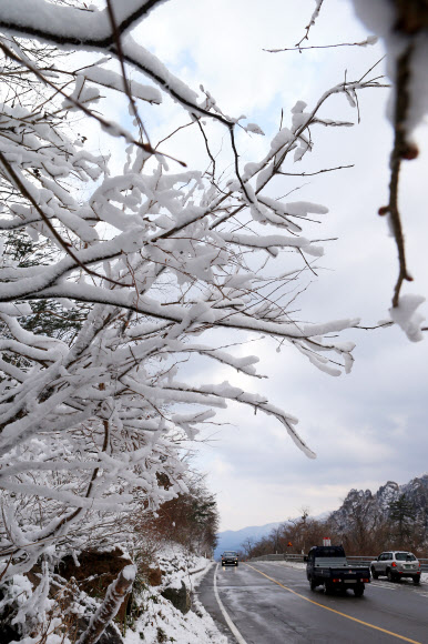 설악산과 대관령을 비롯한 영동산간 고지대에 눈이 내린 12일 눈꽃이 만발한 한계령 고갯길을 차량들이 조심운전을 하고 있다.  연합뉴스