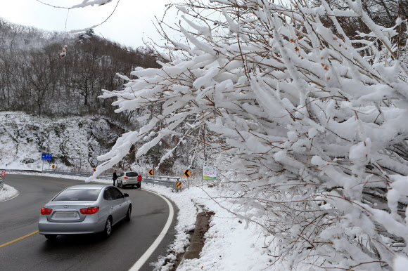 설악산과 대관령을 비롯한 영동산간 고지대에 눈이 내린 12일 눈꽃이 만발한 한계령 고갯길을 차량들이 조심운전을 하고 있다.  연합뉴스