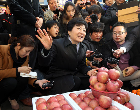 새누리당 박근혜 대선후보가 14일 오후 충북 충주시 성서동 차없는 거리를 방문, 과일좌판에 들러 좌판주인과 이야기를 하고 있다. 연합뉴스