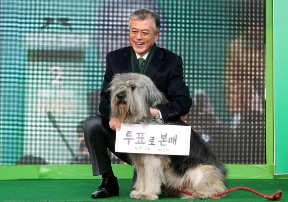 민주통합당 문재인 대선후보가 17일 서울 여의도역 앞에서 열린 유세에서 삽살개와 함께 시민들에게 투표를 당부하고 있다. 연합뉴스