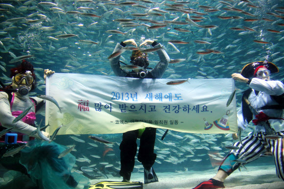 30일 오전 서울시 강남구 삼성동 코엑스 아쿠아리움에서 인어공주 복장을 한 잠수부들이 새해인사를 하고 있다. 코엑스아쿠아리움은 새해 1일부터 31일까지 수중에서 겨울동화 ‘인어공주와 친구들’를 선보일 예정이다.  연합뉴스 