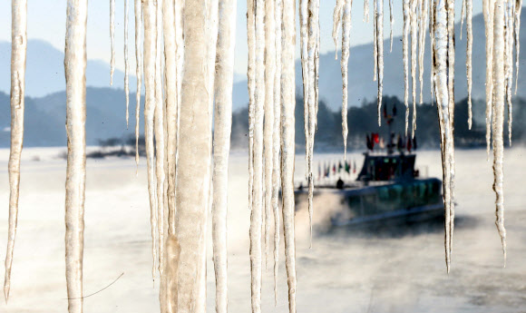 춘천이 영하 23.1도까지 떨어지는 등 올 겨울들어 가장 추운 날씨를 보인 3일 오전 강원 춘천시 남산면 남이섬을 오가는 선착장 주변에 거대한 고드름이 피어있다. 연합뉴스
