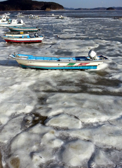 강추위가 이어지면서 충남 서산시 지곡면 중왕리 가로림만 앞바다가 얼어붙어 어선이 얼음 속에 갇혀 있다.  연합뉴스