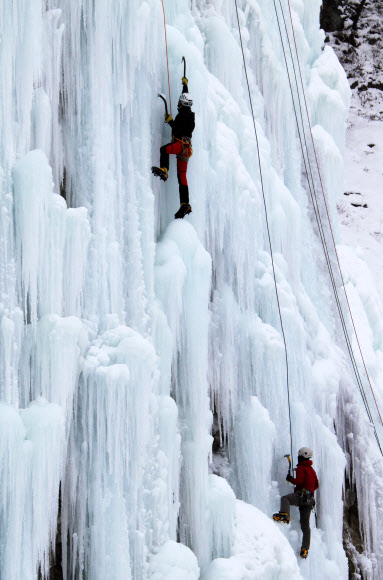 국내 최대 규모인 충북 영동빙벽장에서 6일 산악인들이 깎아지른듯한 얼음절벽을 기어오르고 있다.