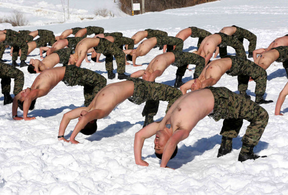 9일 설한지 극복 훈련 중인 특전사 대원들이 강원 평창군 황병산 훈련장 눈밭에서 PT체조를 하고 있다. 연합뉴스