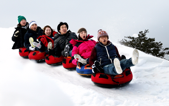 대관령 눈꽃마을을 찾은 관광객들이 ‘봅슬레이 눈썰매’를 타며 즐거워하고 있다. 눈꽃마을에선 전통썰매 등 다양한 겨울 레포츠를 즐길 수 있다.