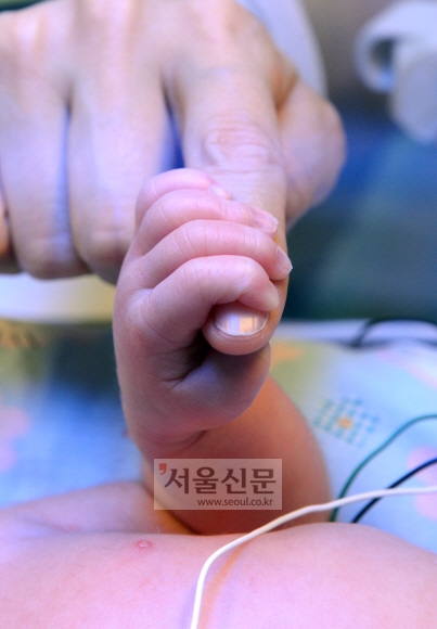 세브란스 병원 신생아집중치료실에서 이른둥이가 간호사의 손가락을 꼭 잡고 있다.