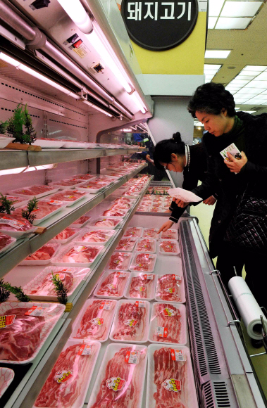산지 돼지고기 가격이 폭락하고 있지만 소비자가격은 제자리걸음을 하고 있는 가운데 서울 서초구 양재동 농협하나로마트 돼지고기 코너에서 고객들이 고기를 고르고 있다. 서울신문 포토라이브러리