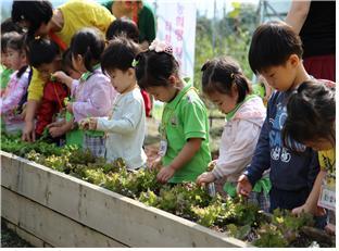 어린이들이 서울시농업기술센터에서 운영하는 친환경 채소심기 체험프로그램에 참여하고 있는 모습. 서울시농업기술센터 제공