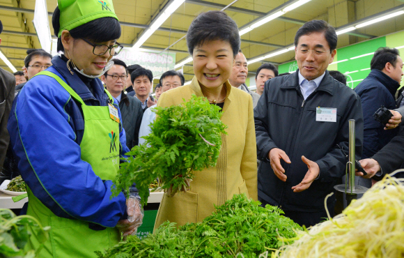 박근혜 대통령이 13일 서울 서초구 양재동 농협 하나로클럽을 방문해 각종 농축산물의 가격 동향을 점검한 뒤 채소를 들어 보이고 있다. 이언탁 기자 utl@seoul.co.kr 