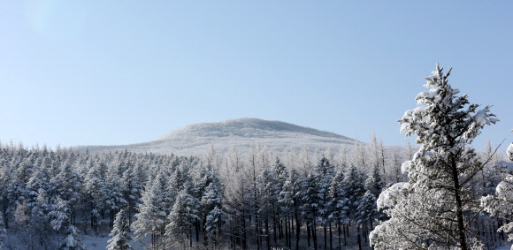 26일 백두대간 능경봉에 전날 내린 눈이 꽃샘추위에 얼어붙어 하얀 눈꽃이 피었다. 연합뉴스