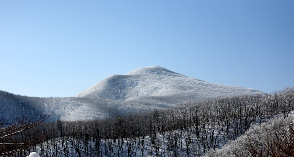 26일 백두대간 능경봉에 전날 내린 눈이 꽃샘추위에 얼어붙어 하얀 눈꽃이 피었다. 연합뉴스
