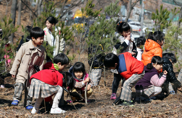 29일 오전 서울 중계동 불암산에서 어린이들이 산철쭉과 백합나무 등을 심고 있다. 노원구는 식목일을 앞두고 ‘한 가정에 하나의 식물심기’ 일환으로 이날 행사를 실시했다. 연합뉴스