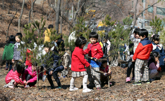 29일 오전 서울 중계동 불암산에서 어린이들이 산철쭉과 백합나무 등을 심고 있다. 노원구는 식목일을 앞두고 ‘한 가정에 하나의 식물심기’ 일환으로 이날 행사를 실시했다. 연합뉴스