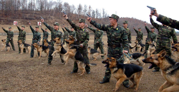 군견 훈련시키는 北 군인