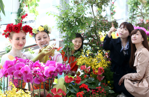 롯데백화점이 11일 오전 서울 중구 소공동 본점 에비뉴엘-영플라자 사이 다리 ‘러브릿지’에서 ‘나비 페스티벌’을 진행하고 있다. 연합뉴스