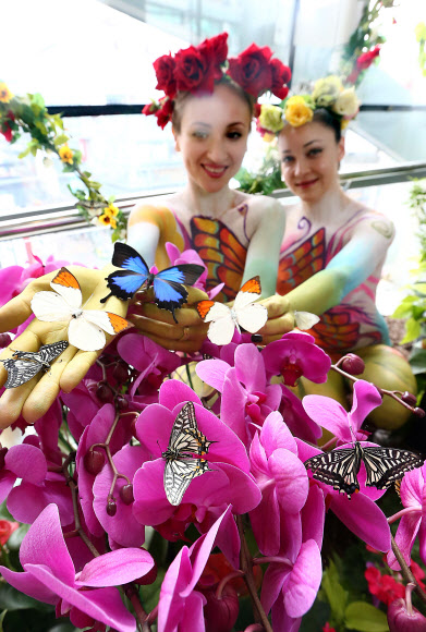 롯데백화점이 11일 오전 서울 중구 소공동 본점 에비뉴엘-영플라자 사이 다리 ‘러브릿지’에서 ‘나비 페스티벌’을 진행하고 있다. 연합뉴스