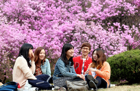 16일 서울 연세대학교 캠퍼스에서 학생들이 만개한 진달래꽃 앞에 앉아 봄내음을 즐기는 듯 환하게 웃고 있다. 연합뉴스