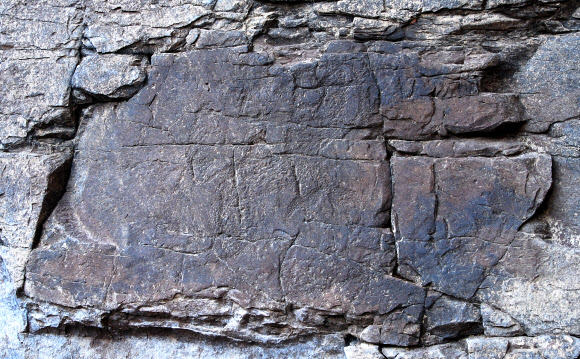 새로운 그림이 11점이 추가로 확인된 국보 285호 울산 울주 반구대암각화의 암면.  울산시 제공