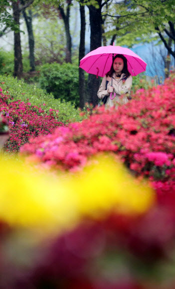 전국적으로 비가 내린 23일 대전 시청 앞 비내리는 거리를 한 시민이 우산을 쓰고 걸어가고 있다. 연합뉴스