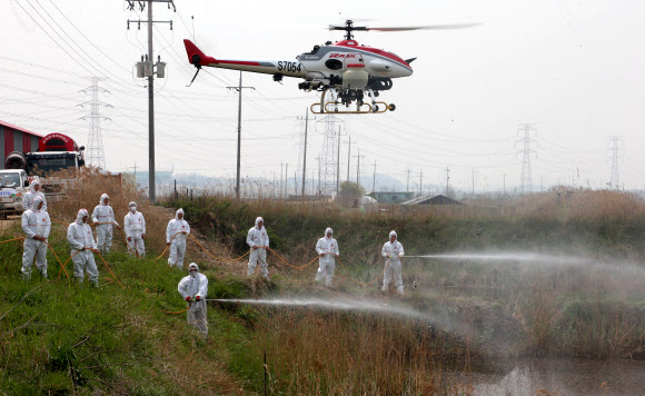 3일 경기도 화성시 남양만 철새도래지와 인근 양계농장에서 NH농협 직원들과 관계자들이 각종 장비를 이용한 조류인플루엔자(AI) 방역 소독 활동을 시연하고 있다.  연합뉴스