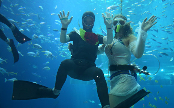 8일 한화 아쿠아플라넷 제주의 대형 수족관에서 해녀 오우생(73)씨가 카네이션을 달아준 여성 싱크로나이즈드 공연팀원과 함께 관람객들에게 손을 흔들고 있다.