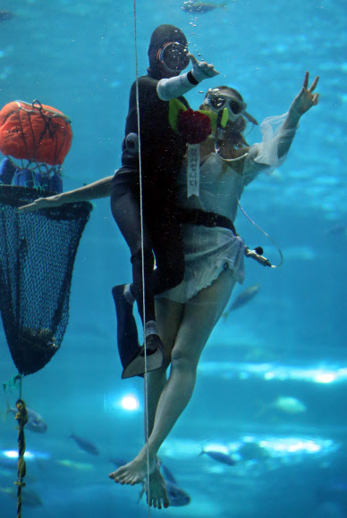 8일 한화 아쿠아플라넷 제주의 대형 수족관에서 해녀 오우생(73)씨가 카네이션을 달아준 여성 싱크로나이즈드 공연팀원과 함께 관람객들에게 손을 흔들고 있다.