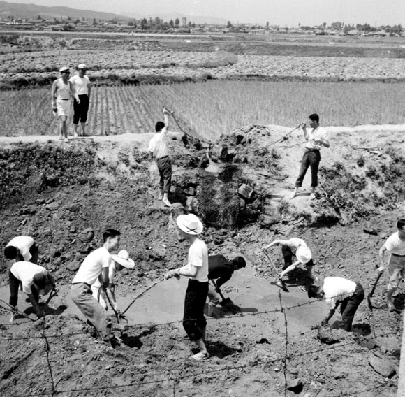 1965년 가뭄대책 양수작업.