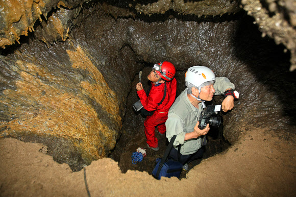 29일 제주 서귀포시 성산읍 신양리 섭지코지 해안에 인접한 휴양콘도미니엄 신축 공사장에서 발견된 용암동굴에 대한 전문가 조사가 이뤄졌다. 전문가들이 동굴 내부로 들어가 동굴의 상태를 조사하고 있다.  연합뉴스