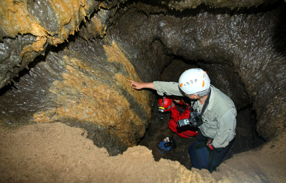 29일 제주 서귀포시 성산읍 신양리 섭지코지 해안에 인접한 휴양콘도미니엄 신축 공사장에서 발견된 용암동굴에 대한 전문가 조사가 이뤄졌다. 전문가들이 동굴 내부로 들어가 동굴의 상태를 조사하고 있다.  연합뉴스