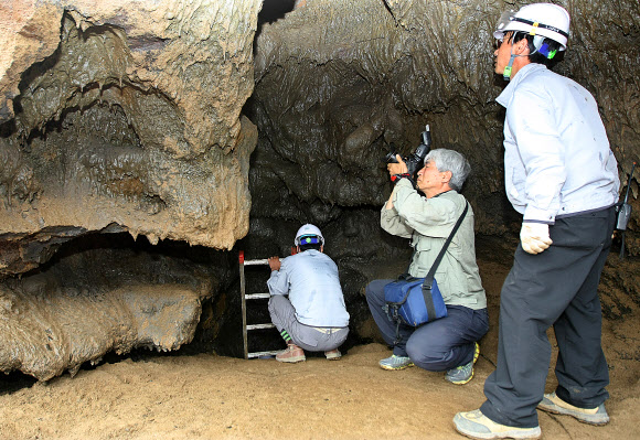 29일 제주 서귀포시 성산읍 신양리 섭지코지 해안에 인접한 휴양콘도미니엄 신축 공사장에서 발견된 용암동굴에 대한 전문가 조사가 이뤄졌다. 전문가들이 동굴 내부로 들어가 동굴의 상태를 조사하고 있다.  연합뉴스