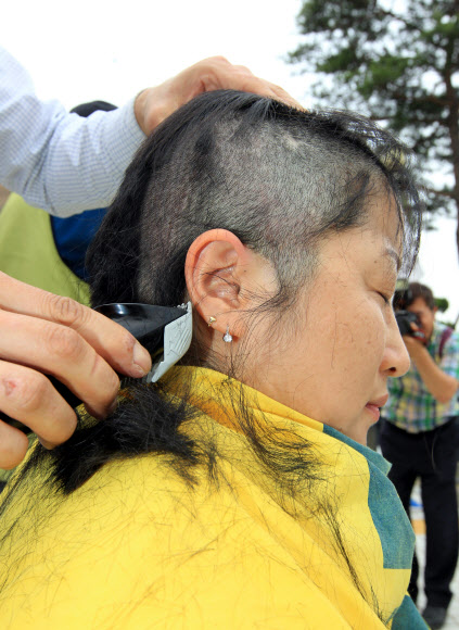 경남도가 폐업 결정을 발표한 지 사흘째인 31일 오후 진주의료원 본관 앞에서 홍성의료원 진락희 지부장이 삭발하고 있다. 연합뉴스