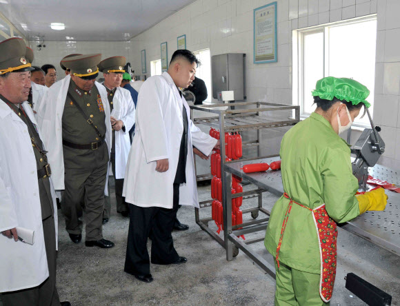 北김정은,군부대 돼지공장 시찰