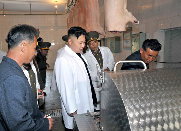 北김정은,군부대 돼지공장 시찰