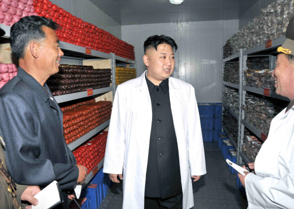 北김정은,군부대 돼지공장 시찰