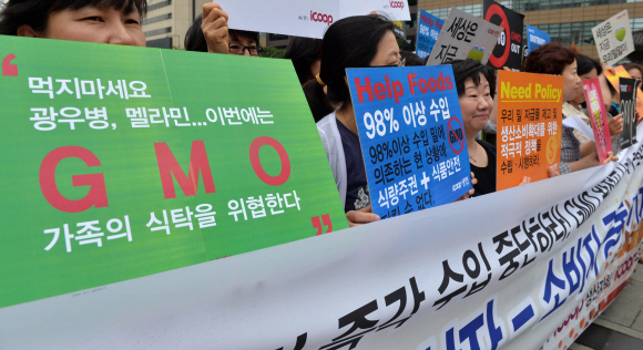 소비자생활협동조합 아이쿱(iCOOP)생협이 12일 서울 광화문광장에서 GMO(유전자변형농산물)오염 미국산 밀 수입 중단하고 우리밀 소비 촉진을 촉구하는 우리밀 생산자-소비자 공동기자회견을 열고 있다. 지난달 30일 수입밀의 주요 생산지인 미국 오리건주에서 재배와 판매, 소비가 금지된 유전자변형 밀이 발견된 바 있다. 일본은 즉각 수입금지 조치를 취한 반면 우리 정부는 수입된 밀에 대해서만 전수검사 조치에 들어가 시민단체의 반발을 사고 있다.  손형준 boltagoo@seoul.co.kr