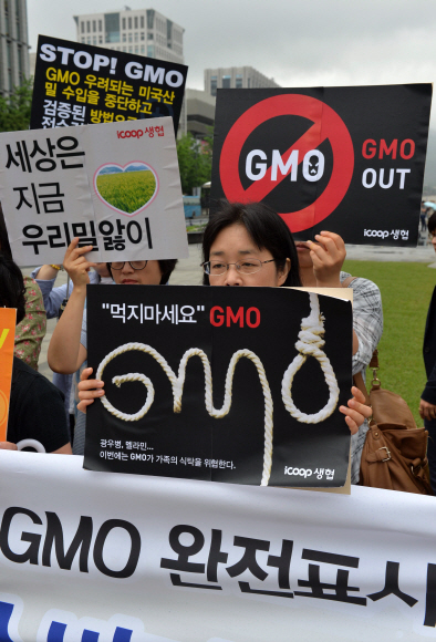 소비자생활협동조합 아이쿱(iCOOP)생협이 12일 서울 광화문광장에서 GMO(유전자변형농산물)오염 미국산 밀 수입 중단하고 우리밀 소비 촉진을 촉구하는 우리밀 생산자-소비자 공동기자회견을 열고 있다. 지난달 30일 수입밀의 주요 생산지인 미국 오리건주에서 재배와 판매, 소비가 금지된 유전자변형 밀이 발견된 바 있다. 일본은 즉각 수입금지 조치를 취한 반면 우리 정부는 수입된 밀에 대해서만 전수검사 조치에 들어가 시민단체의 반발을 사고 있다.  손형준 boltagoo@seoul.co.kr