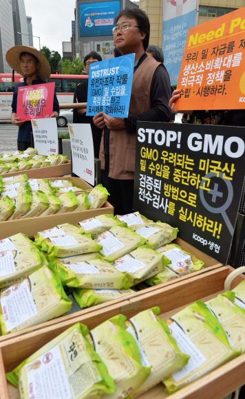12일 서울 광화문광장에서 열린 GMO(유전자변형농산물)오염 미국산 밀 수입 중단 촉구 우리밀 생산자-소비자 공동기자회견에서 소비자생활협동조합 아이쿱(iCOOP)생협 회원들이 우리밀로 만든 라면을 앞에 놓고 미국산 밀 대신 우리밀 소비를 권하고있다. 지난달 30일 수입밀의 주요 생산지인 미국 오리건주에서 재배와 판매, 소비가 금지된 유전자변형 밀이 발견된 바 있다. 일본은 즉각 수입금지 조치를 취한 반면 우리 정부는 수입된 밀에 대해서만 전수검사 조치에 들어가 시민단체의 반발을 사고 있다. 손형준 boltagoo@seoul.co.kr