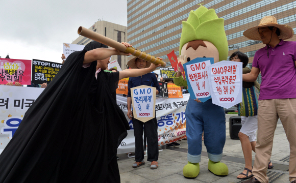 12일 서울 광화문광장에서 열린 GMO(유전자변형농산물)오염 미국산 밀 수입 중단 촉구 우리밀 생산자-소비자 공동기자회견에서 소비자생활협동조합 아이쿱(iCOOP)생협 회원들이 미국산 GMO밀로부터 우리밀을 지키자는 내용의 퍼포먼스를 하고 있다. 지난달 30일 수입밀의 주요 생산지인 미국 오리건주에서 재배와 판매, 소비가 금지된 유전자변형 밀이 발견된 바 있다. 일본은 즉각 수입금지 조치를 취한 반면 우리 정부는 수입된 밀에 대해서만 전수검사 조치에 들어가 시민단체의 반발을 사고 있다.  손형준 boltagoo@seoul.co.kr
