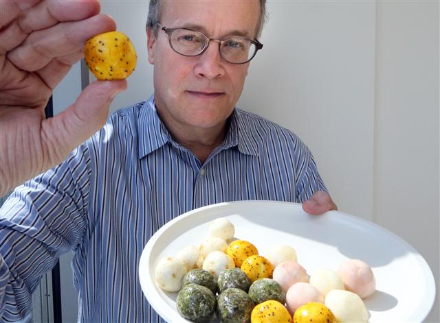 위키셀 창업자인 로버트 코넬리가 하루 한알로 모든 영양소를 섭취할 수 있는 치즈볼 시제품을 들어 보이고 있다.  위키셀 홈페이지